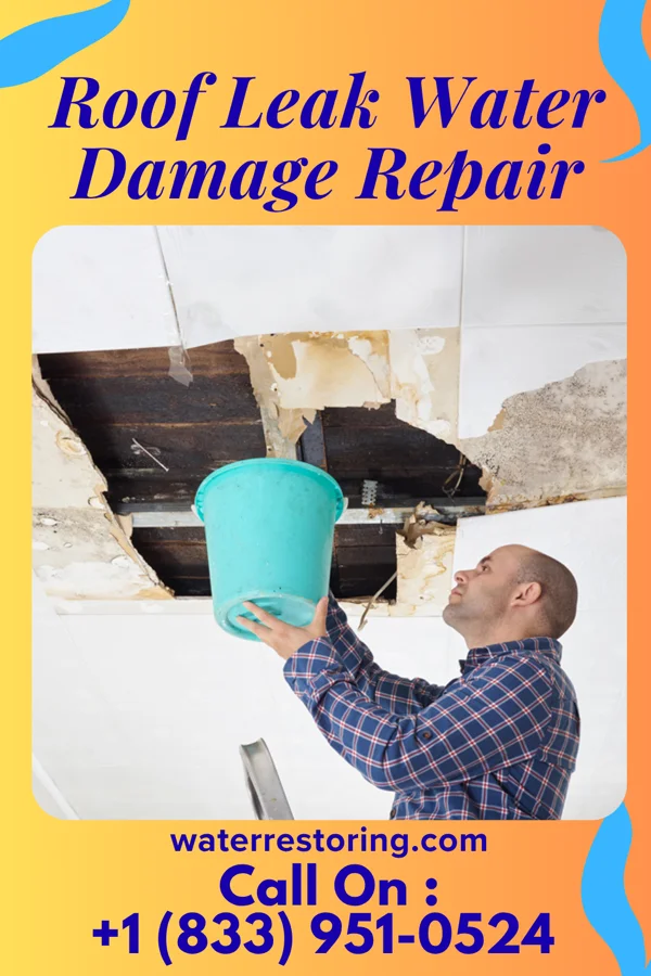 Roof Leak Water Damage Repair in Ingalls, KS